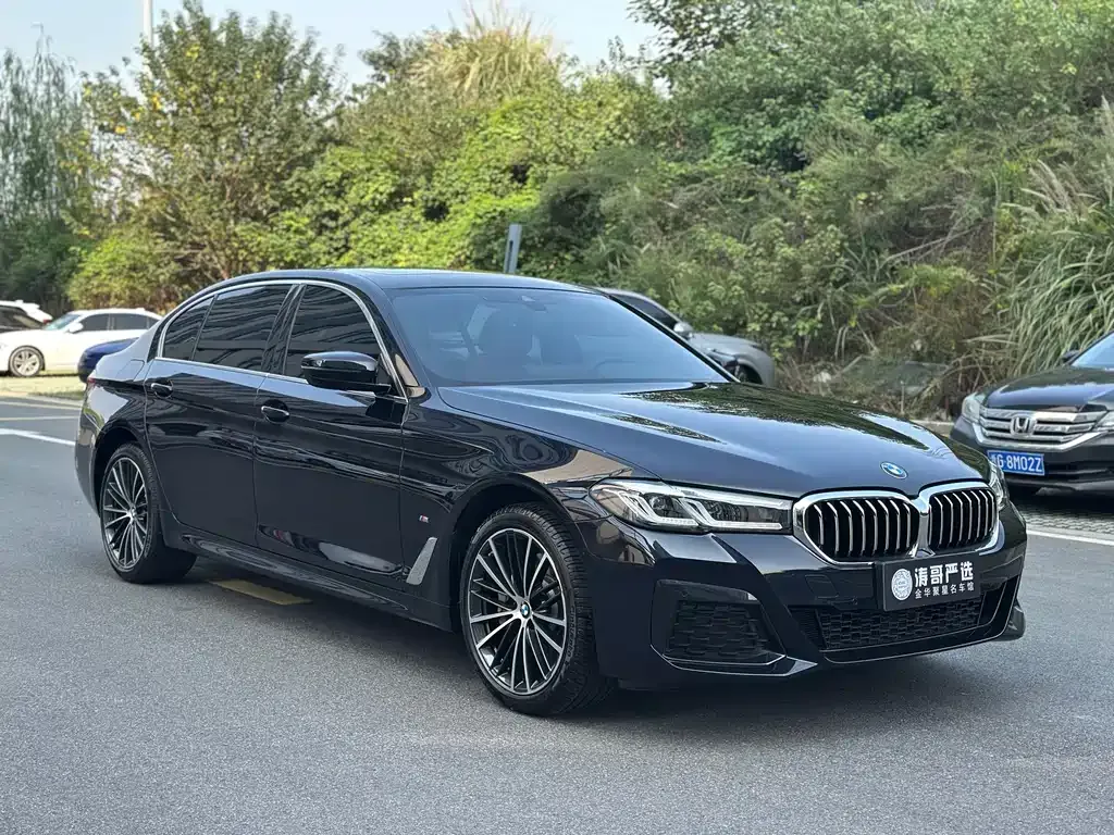 BMW 5 Series 2023 из CN, фото 3
