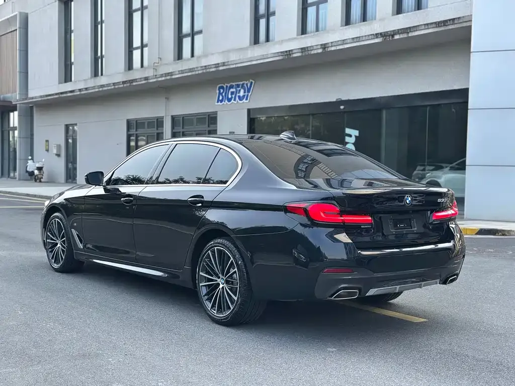 BMW 5 Series 2023 из CN, фото 5