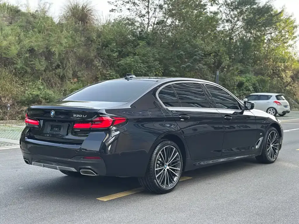 BMW 5 Series 2023 из CN, фото 6