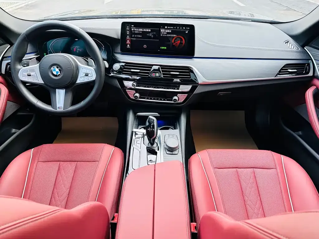 BMW 5 Series 2023 из CN, фото 8