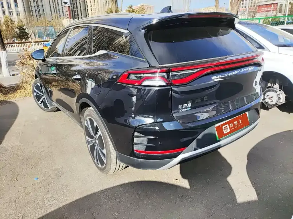 BYD Tang New Energy 2023 из CN, фото 10