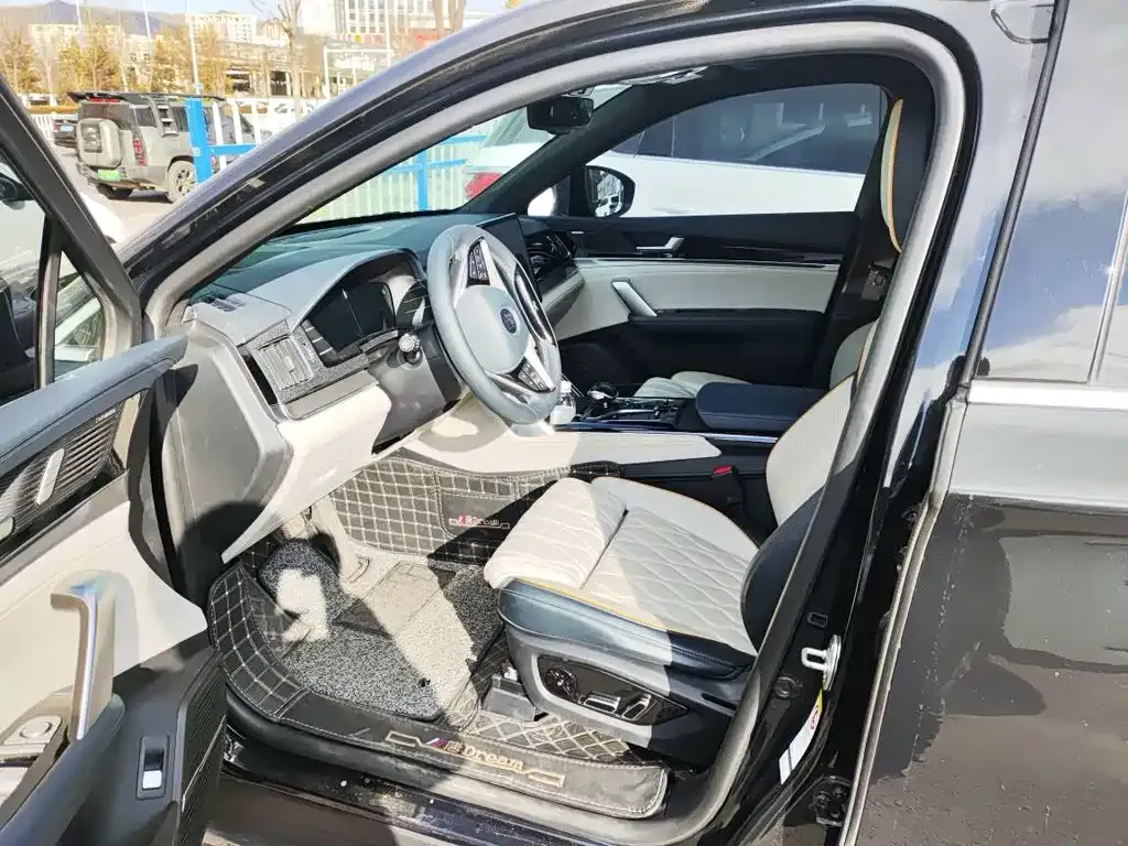 BYD Tang New Energy 2023 из CN, фото 5