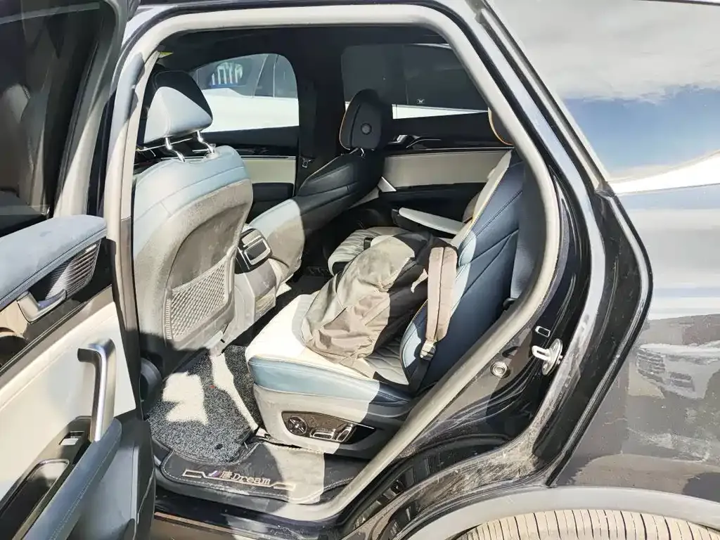 BYD Tang New Energy 2023 из CN, фото 6