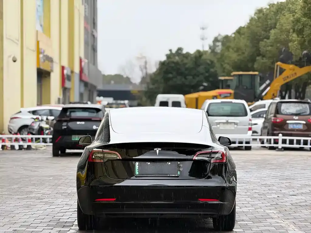 Tesla Model 3 2023 из CN, фото 4