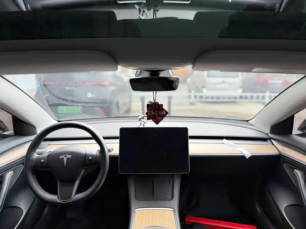 Tesla Model 3 2023 из CN, фото 2