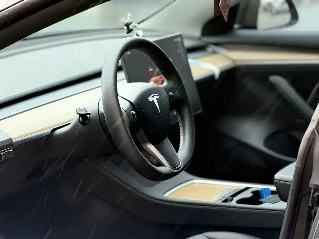 Tesla Model 3 2023 из CN, фото 3