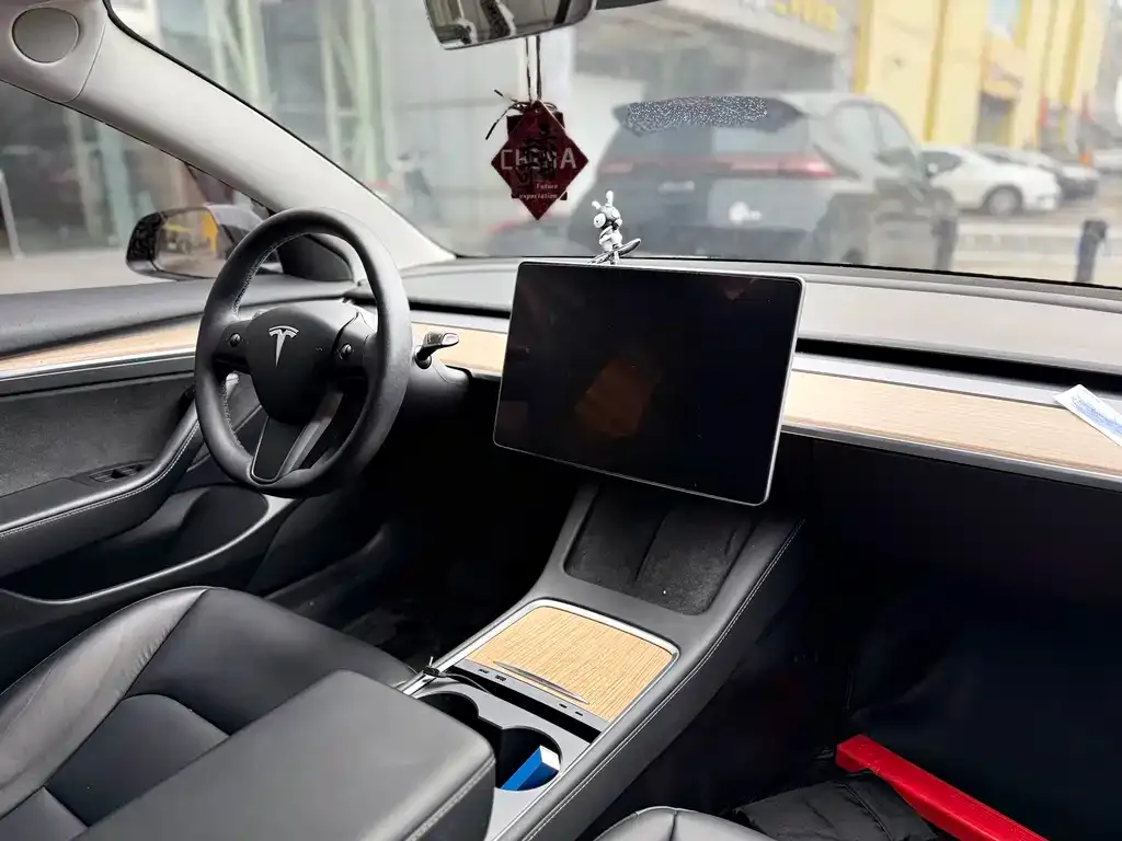 Tesla Model 3 2023 из CN, фото 9