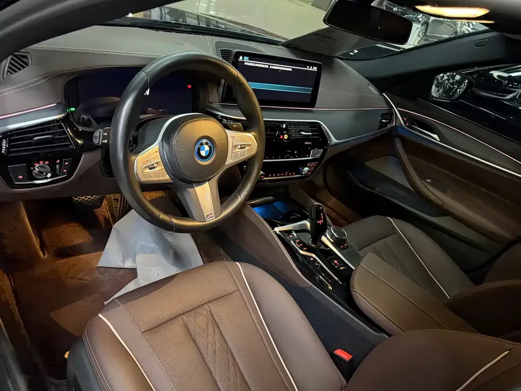 BMW 5 Series New Energy 2023 из CN, фото 4
