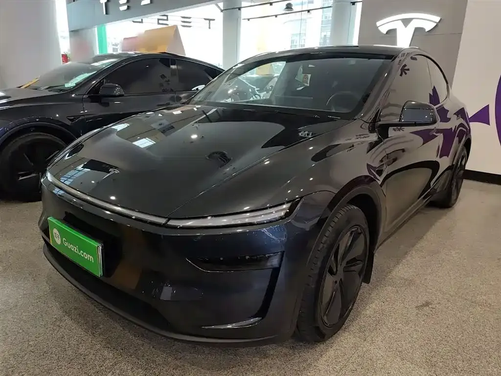 Tesla Model Y 2025 из CN, фото 1