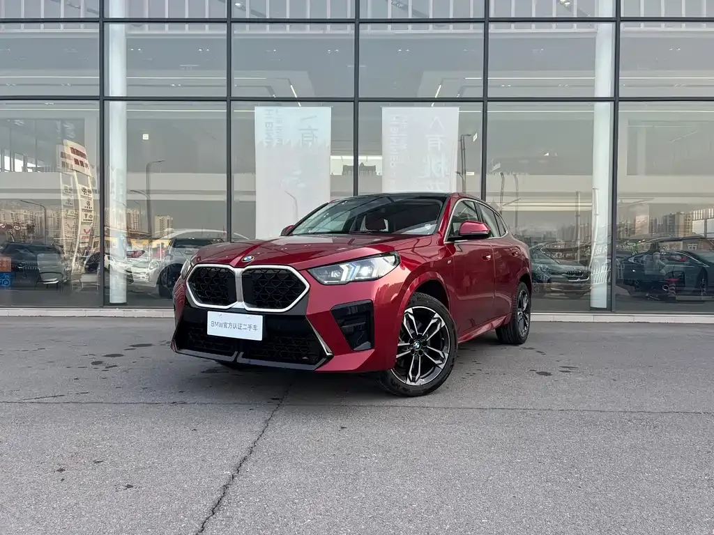 BMW X2 (Import) 2024 из CN, фото 1