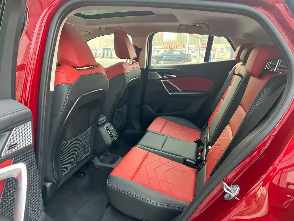 BMW X2 (Import) 2024 из CN, фото 4