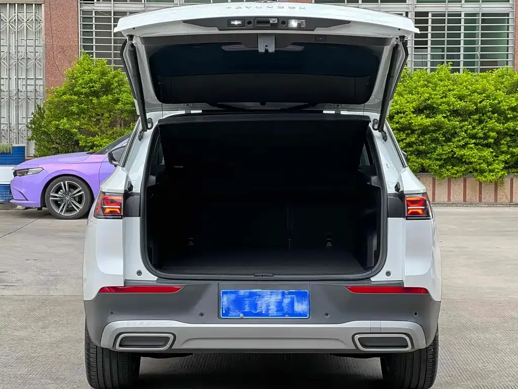 Volkswagen Tavendor 2023 из CN, фото 10