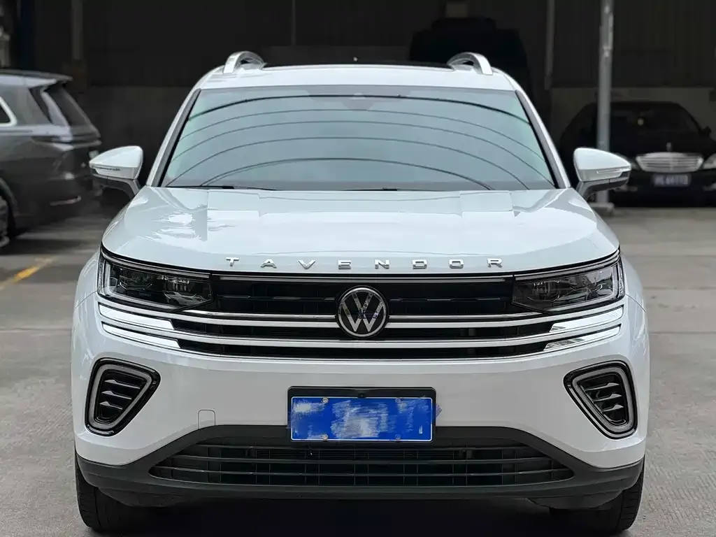 Volkswagen Tavendor 2023 из CN, фото 2