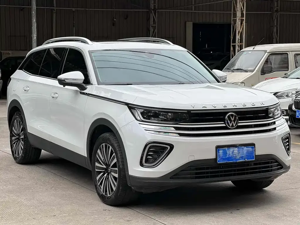 Volkswagen Tavendor 2023 из CN, фото 3