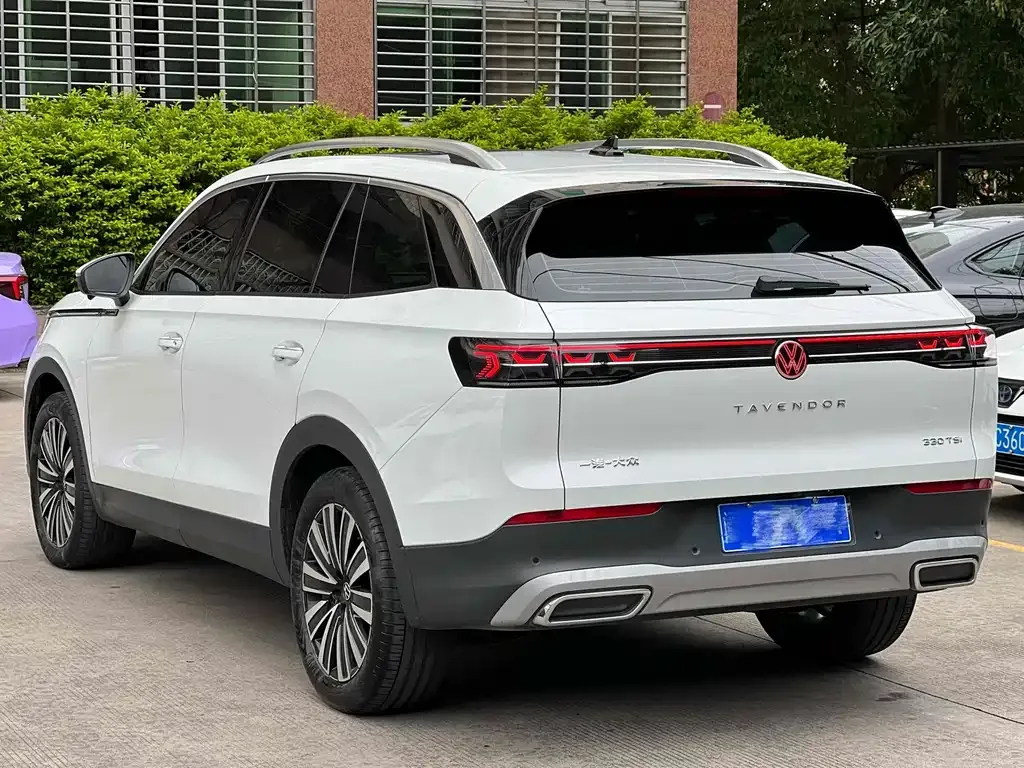 Volkswagen Tavendor 2023 из CN, фото 7