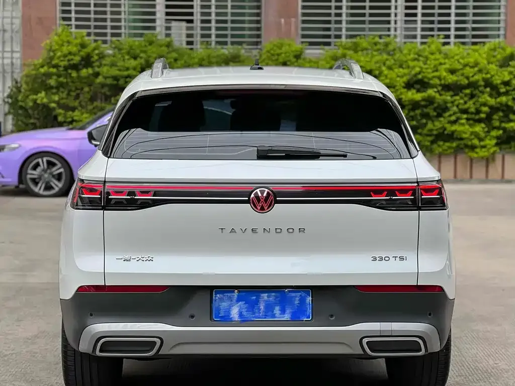Volkswagen Tavendor 2023 из CN, фото 8