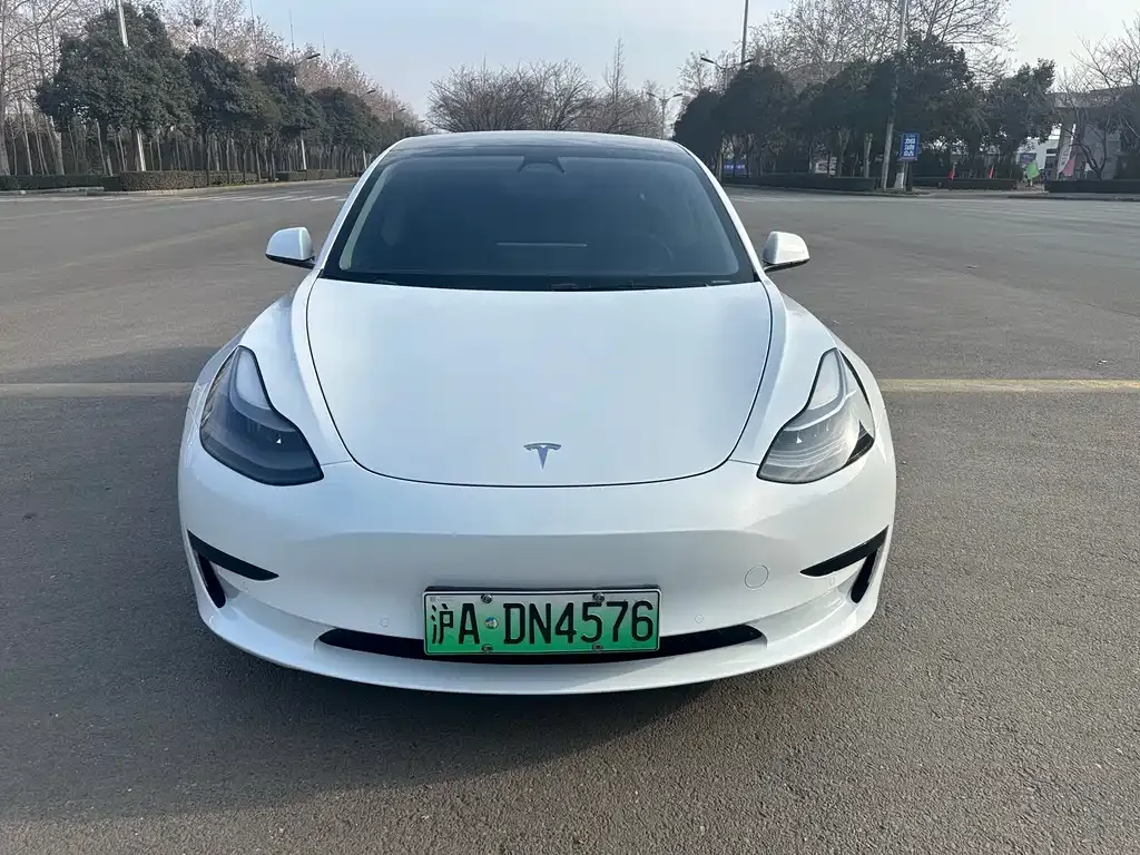 Tesla Model 3 2021 из CN, фото 8