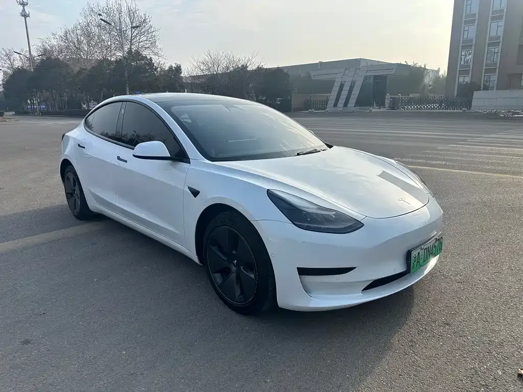 Tesla Model 3 2021 из CN, фото 7