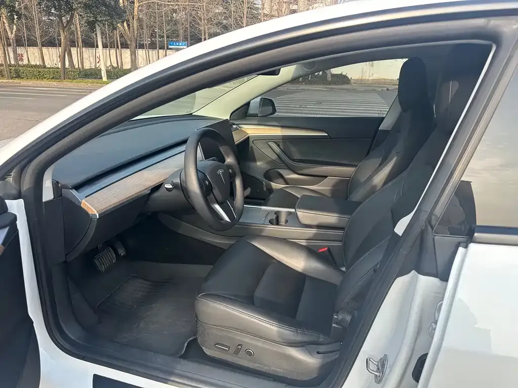 Tesla Model 3 2021 из CN, фото 5