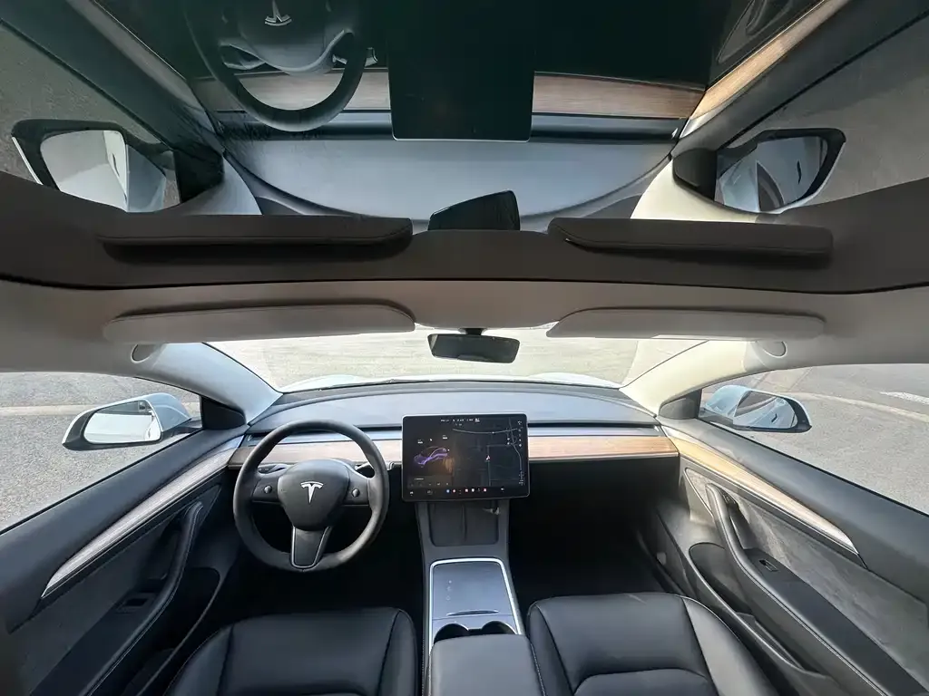 Tesla Model 3 2021 из CN, фото 3