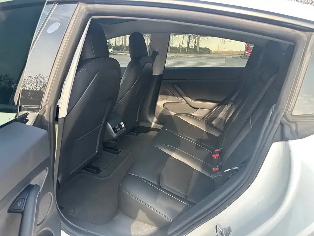 Tesla Model 3 2021 из CN, фото 4