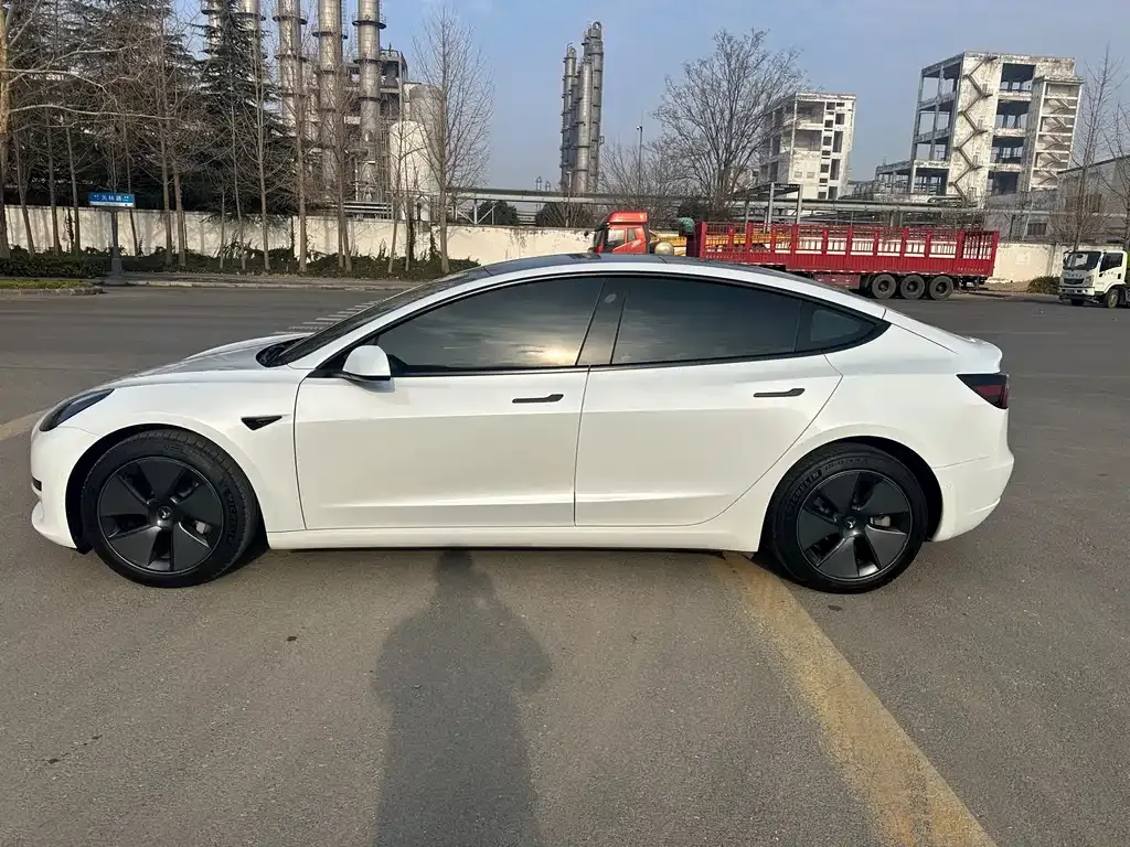 Tesla Model 3 2021 из CN, фото 6
