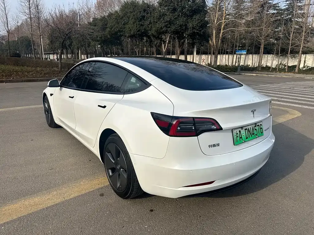 Tesla Model 3 2021 из CN, фото 9
