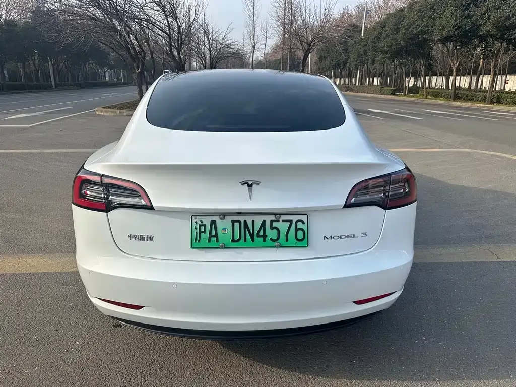 Tesla Model 3 2021 из CN, фото 2