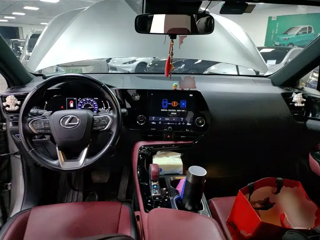 Lexus NX 2022 из CN, фото 4