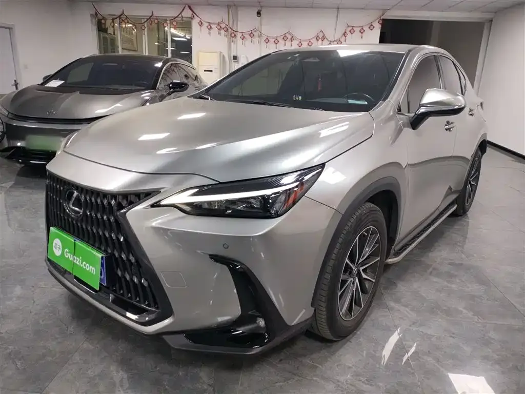 Lexus NX 2022 из CN, фото 5