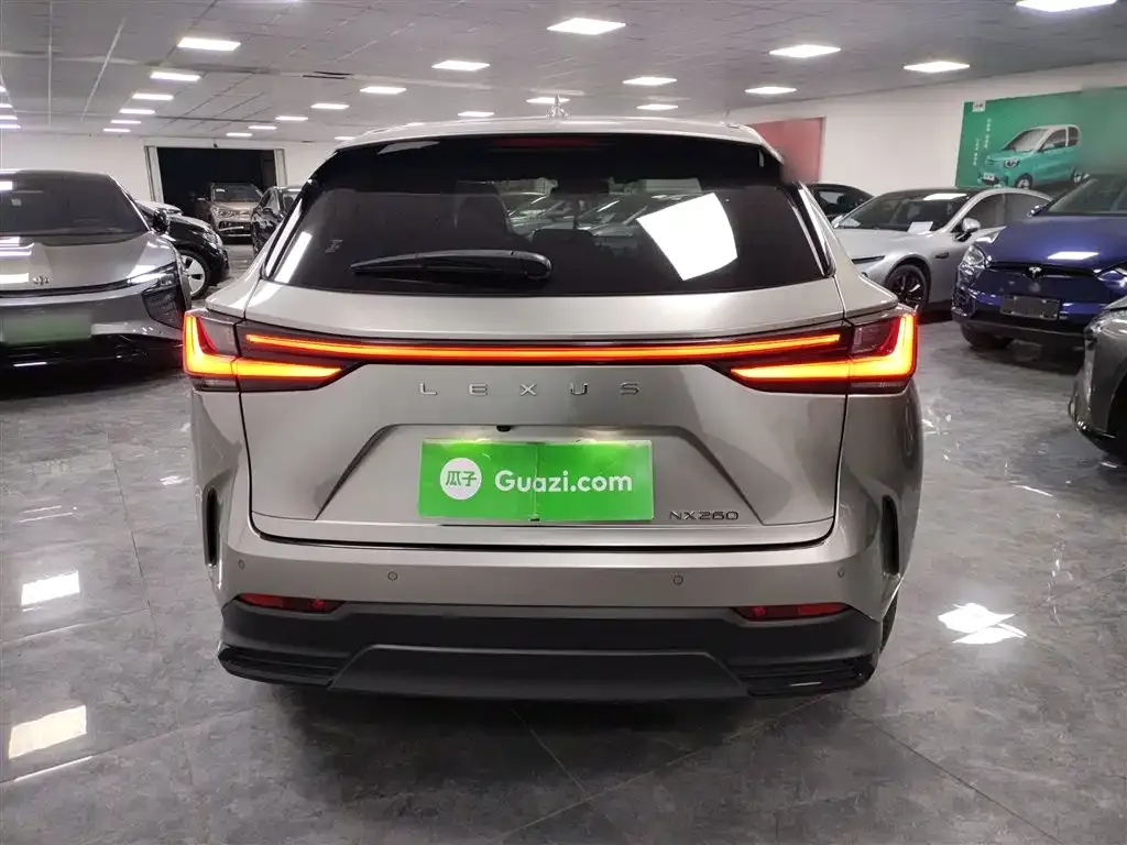 Lexus NX 2022 из CN, фото 3