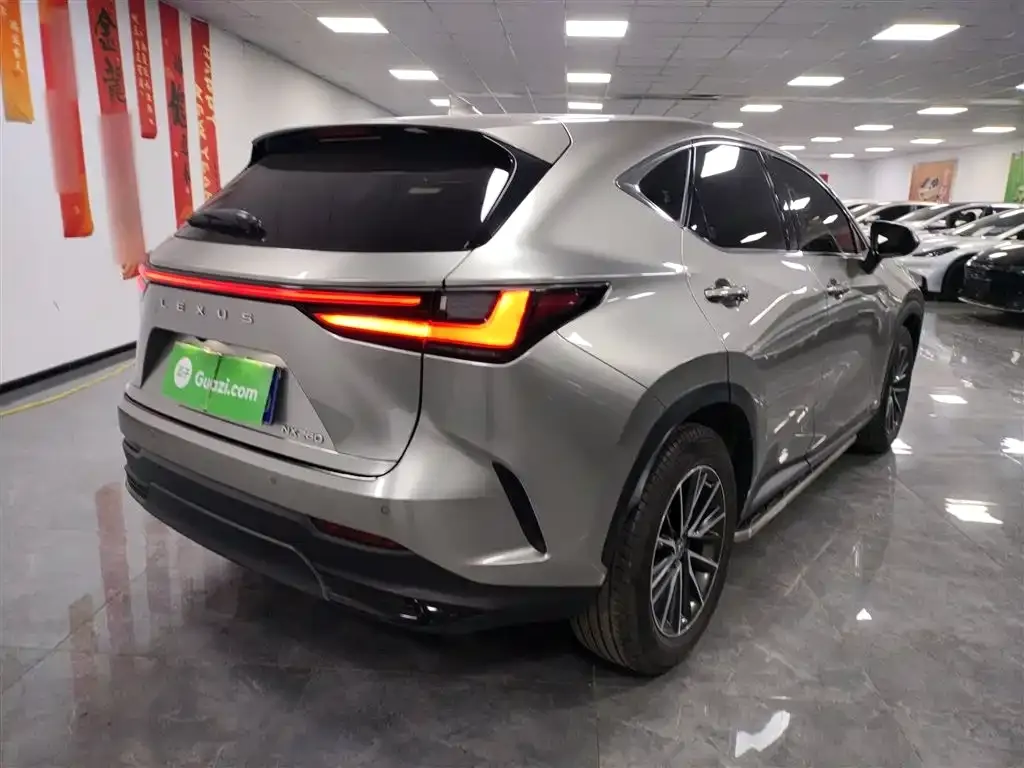 Lexus NX 2022 из CN, фото 10