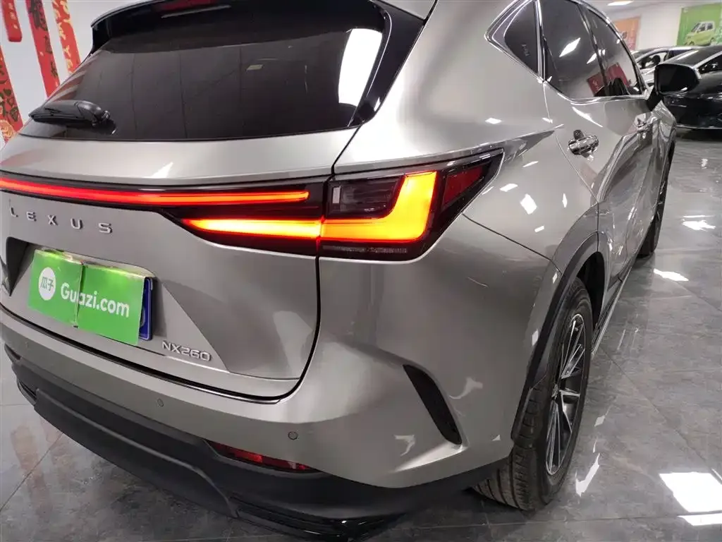 Lexus NX 2022 из CN, фото 7