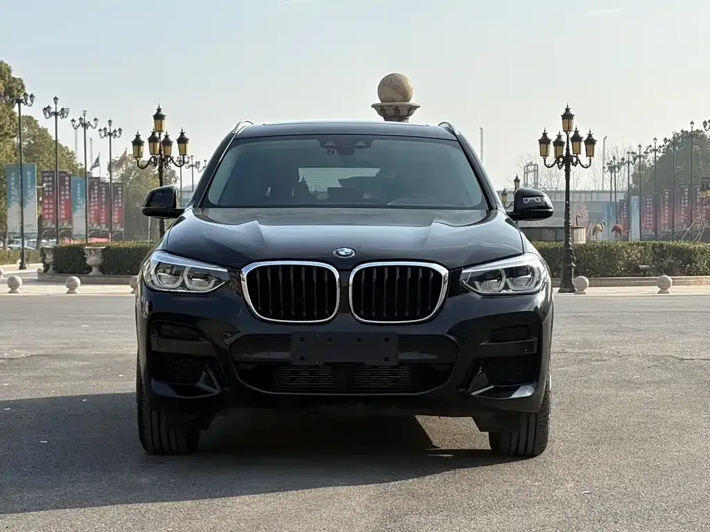 BMW X3 2021 из CN, фото 3