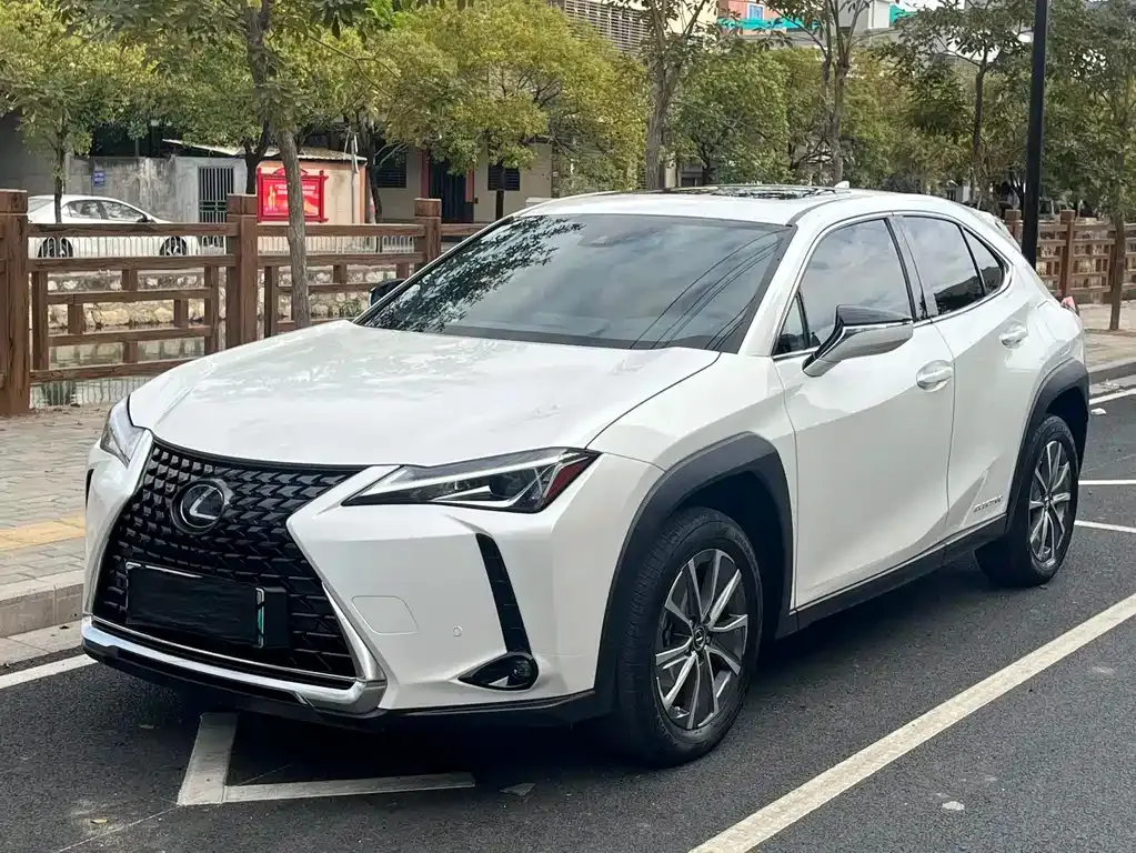 Lexus UX New Energy — фото 7
