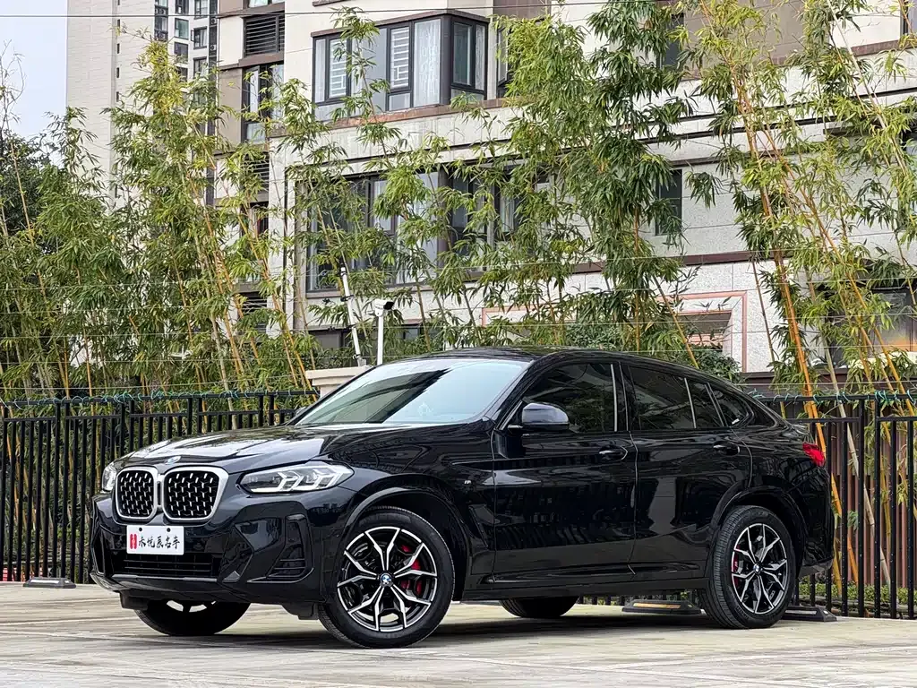 BMW X4 2022 из CN, фото 1