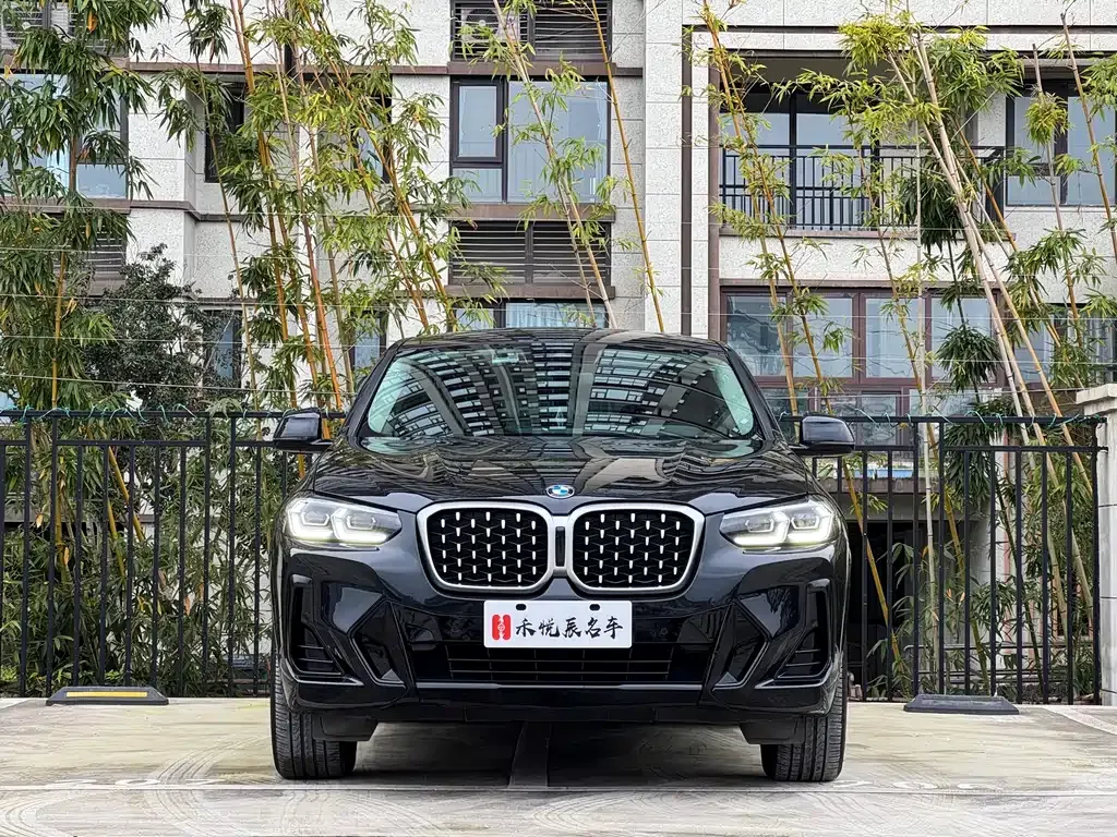 BMW X4 2022 из CN, фото 10