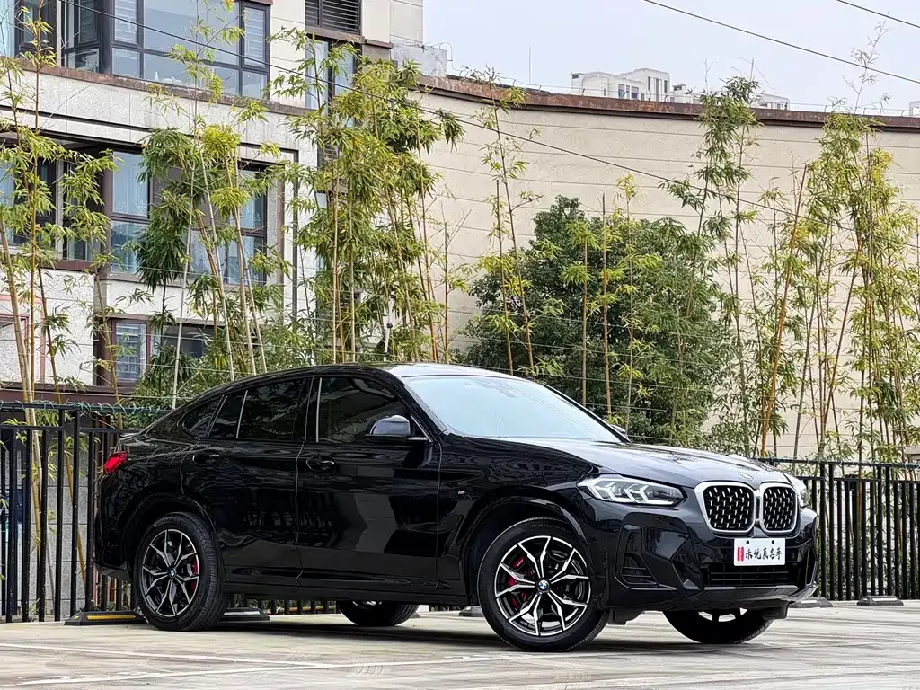 BMW X4 2022 из CN, фото 8