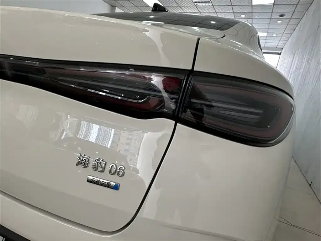 BYD Seal 06 — фото 10