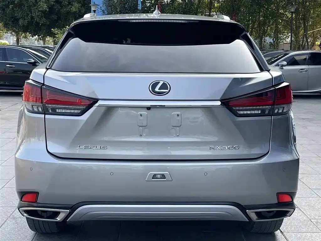 Lexus RX — фото 4