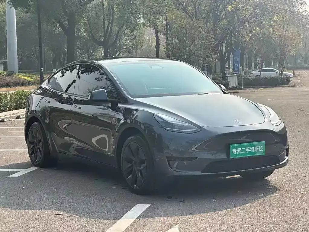 Tesla Model Y 2024 из CN, фото 3