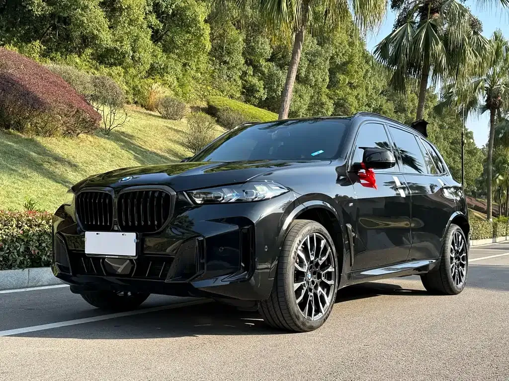 BMW X5 2024 из CN, фото 1