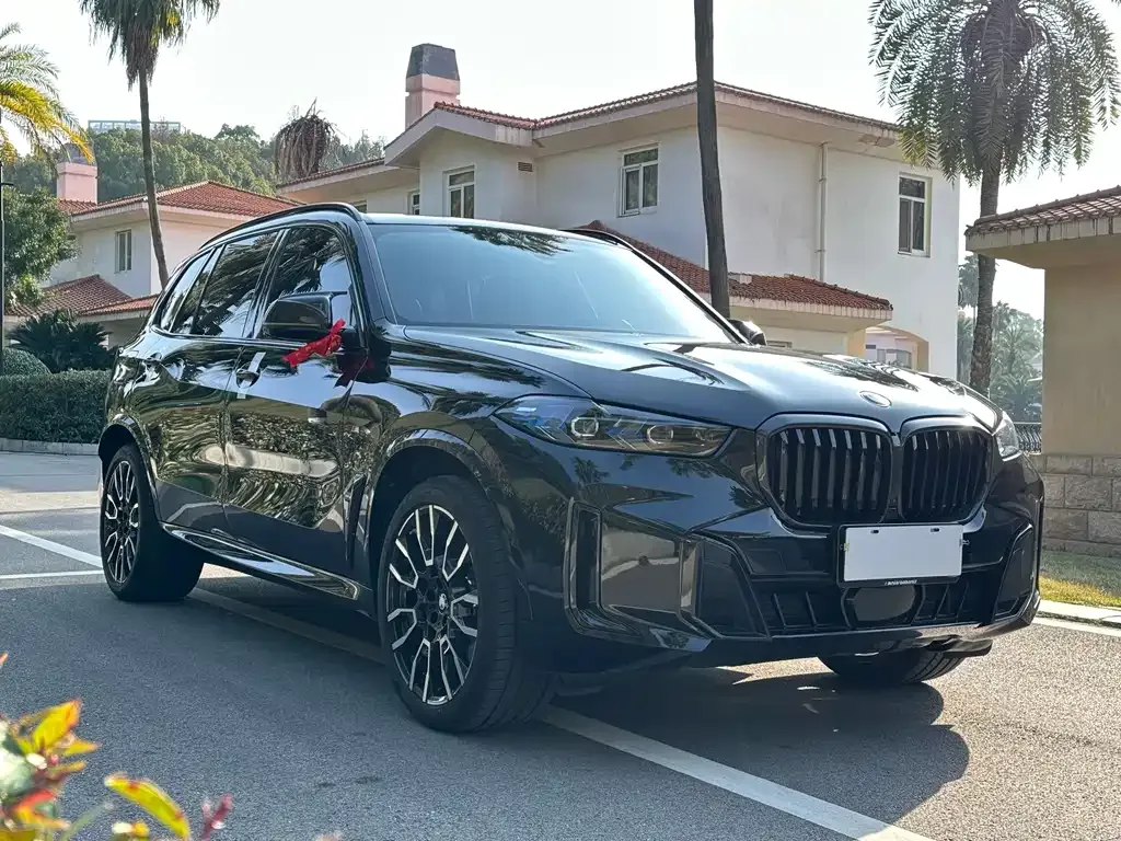 BMW X5 2024 из CN, фото 7