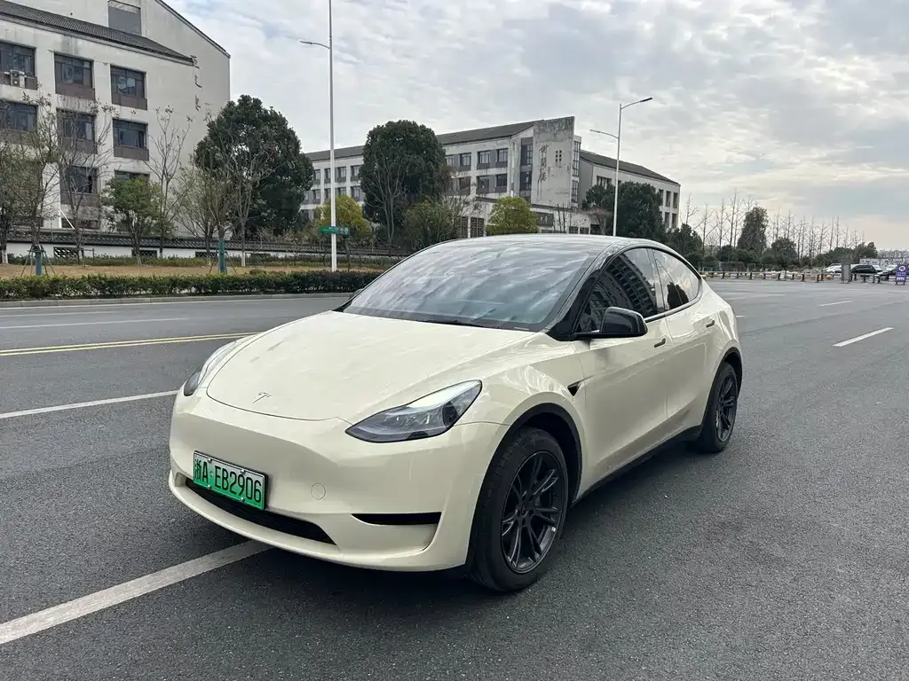 Tesla Model Y — фото 1