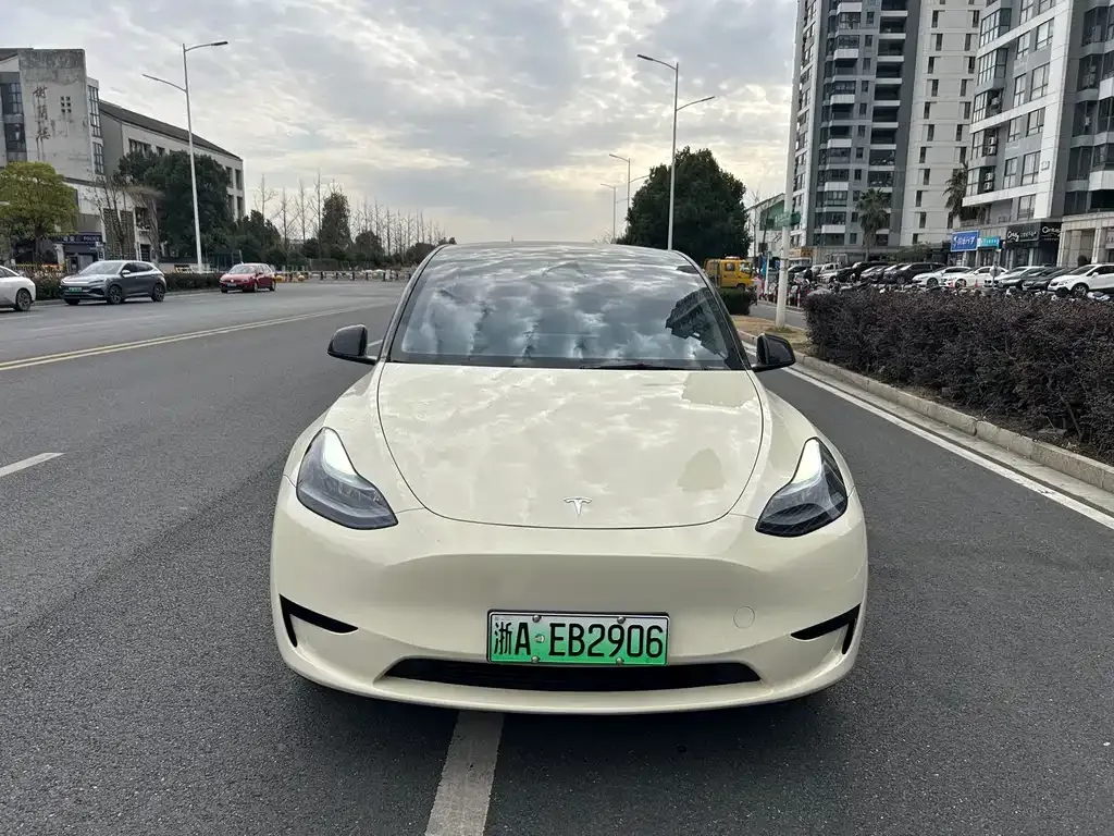 Tesla Model Y — фото 6
