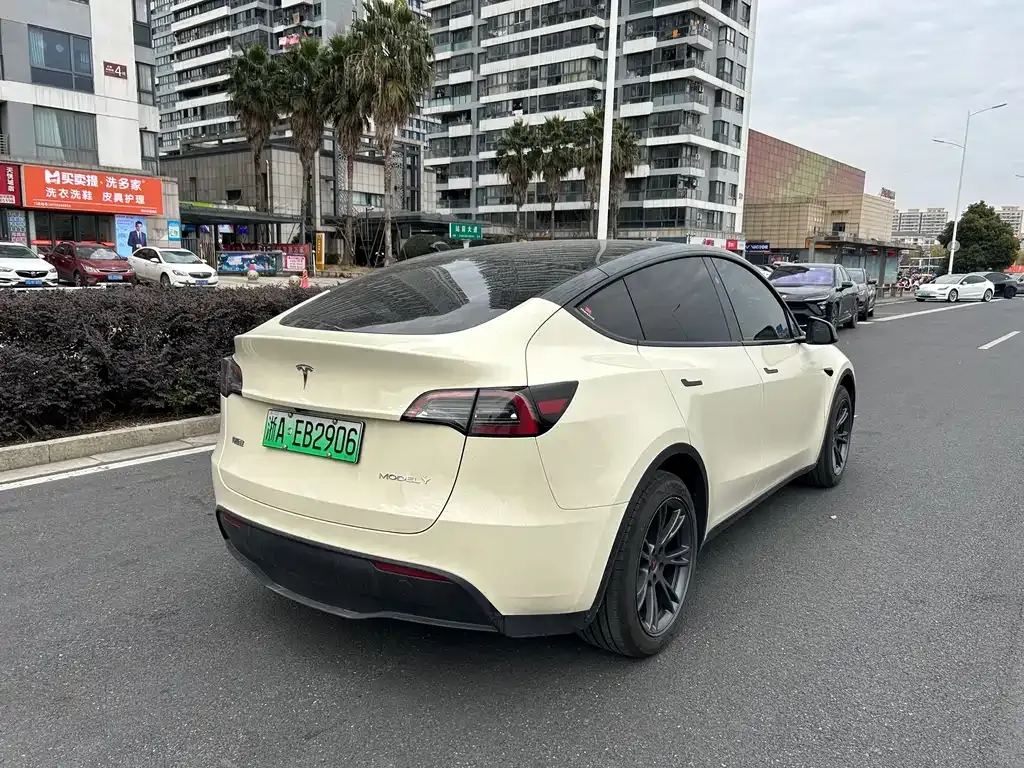 Tesla Model Y — фото 10