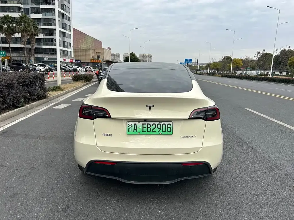 Tesla Model Y — фото 5