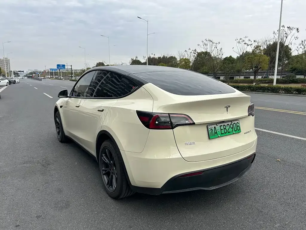 Tesla Model Y — фото 8