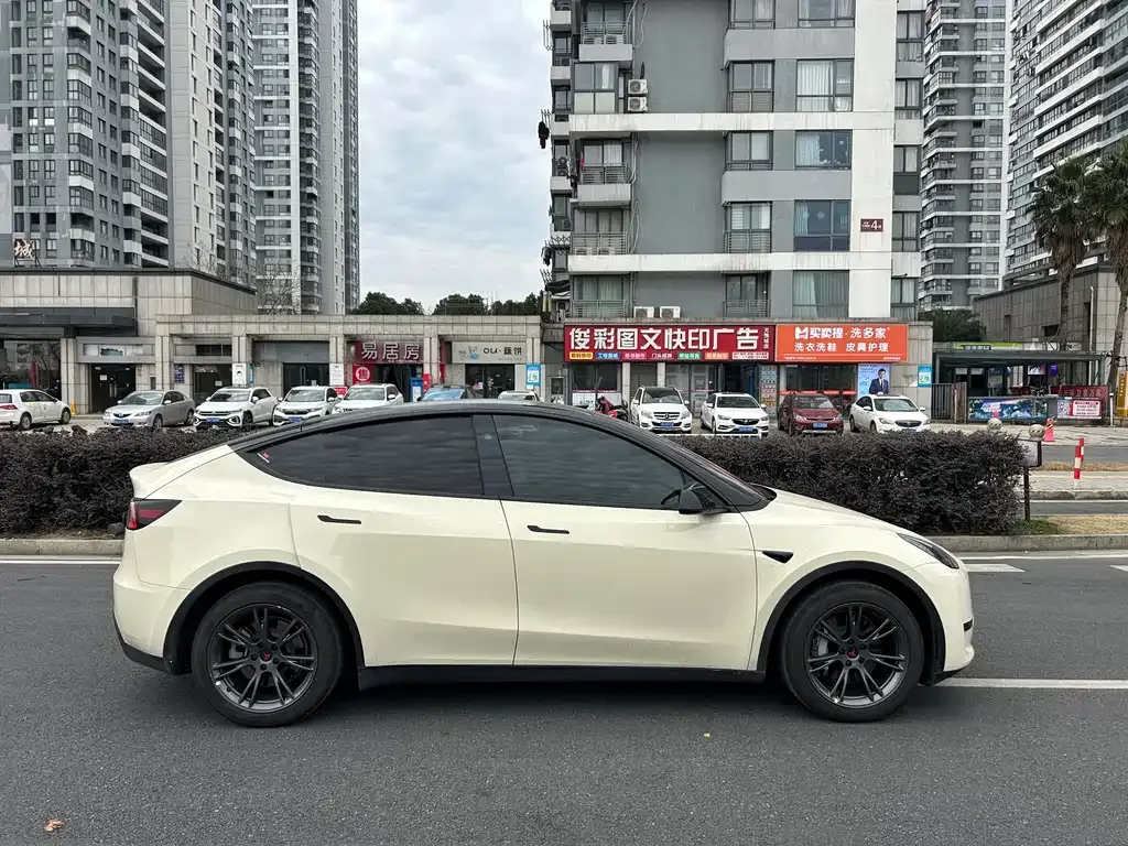 Tesla Model Y — фото 9