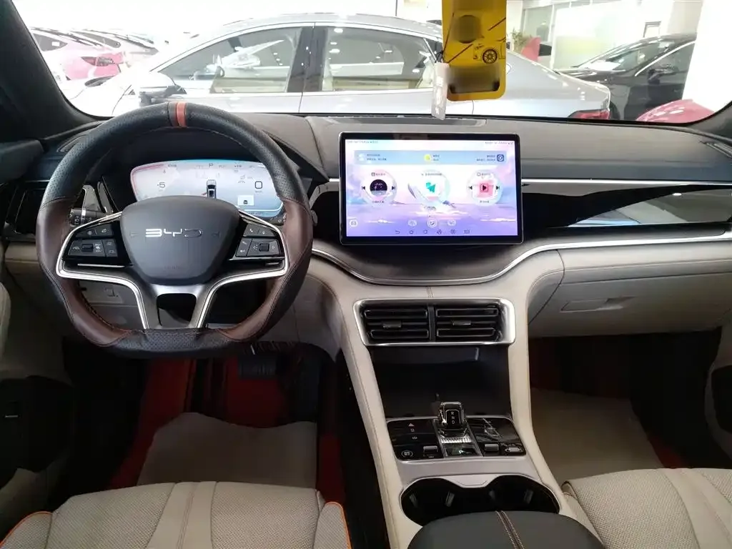 BYD PLUS New Energy — фото 10